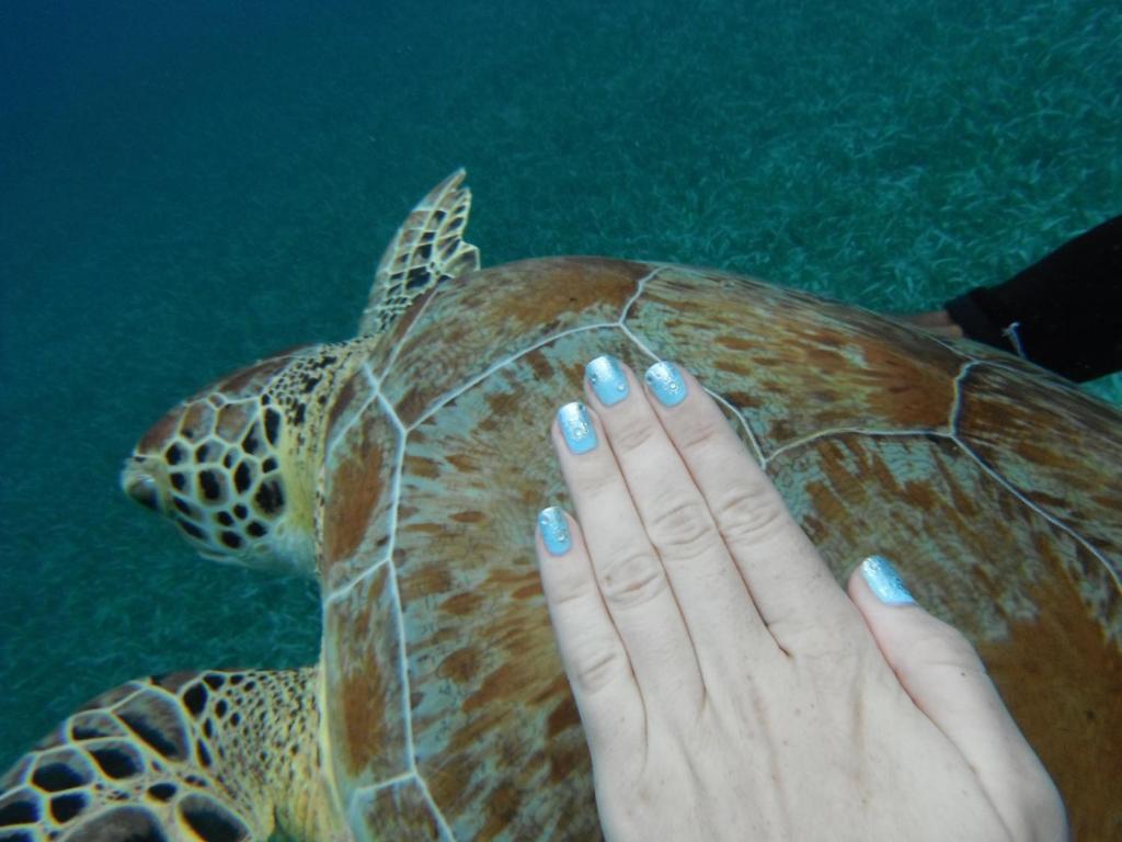 Shaka Caye All Inclusive Resort Belize City Exteriör bild